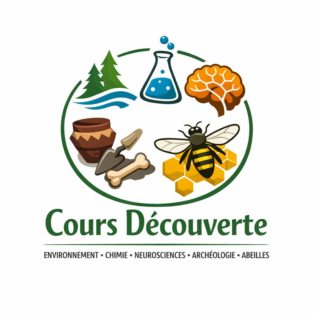 Cours découverte | Collège de Genève
